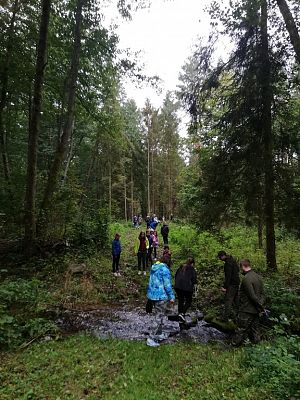 Grafika #5: Odwiedziliśmy najstarszy i największy dąb na Kaszubach