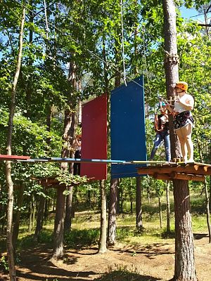 Grafika #3: Wycieczka klasy VII do parku linowego.