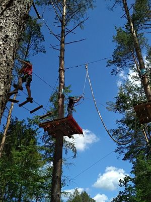 Grafika #0: Wycieczka klasy VII do parku linowego.