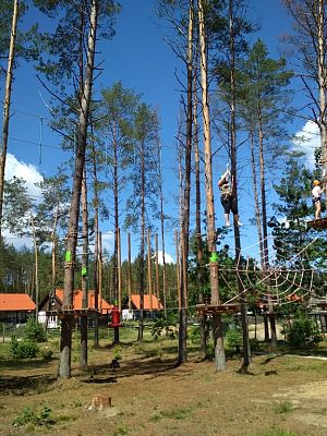 Grafika #10: Wycieczka klasy VII do parku linowego.