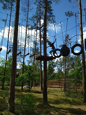 Grafika #16: Wycieczka klasy VII do parku linowego.