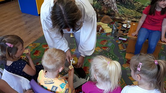 Grafika #4: Pasieka "Boża Iskierka"