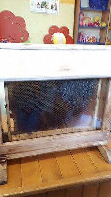 Grafika #5: Pasieka "Boża Iskierka"