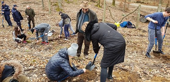 Grafika #2: WIOSENNA AKCJA SADZENIA LASU NA TERENIE LEŚNICTWA LEŚNICE
