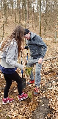 Grafika #6: WIOSENNA AKCJA SADZENIA LASU NA TERENIE LEŚNICTWA LEŚNICE