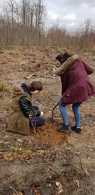 Grafika #8: WIOSENNA AKCJA SADZENIA LASU NA TERENIE LEŚNICTWA LEŚNICE