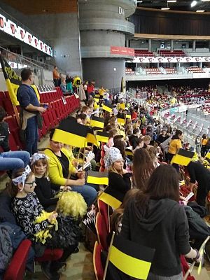 Grafika #2: Mecz koszykówki na Ergo Arenie.