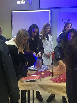 Grafika #2: NERD - NIGHT - V edycja 2018