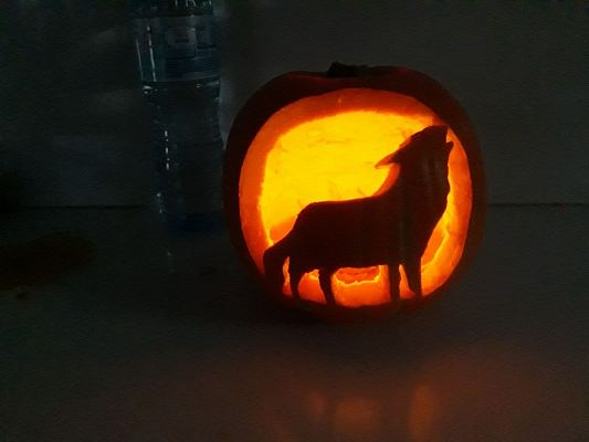 Grafika #0: Podsumowanie konkursu na dyniowy lampion