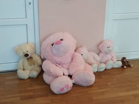 Grafika #11: Światowy Dzień Pluszowego Misia