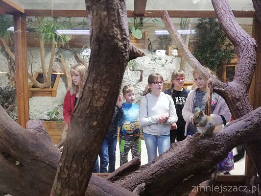 Grafika #7: Wycieczka do Parku Edukacyjnego - ZOO – Egzotyczne Kaszuby w Tuchlinie