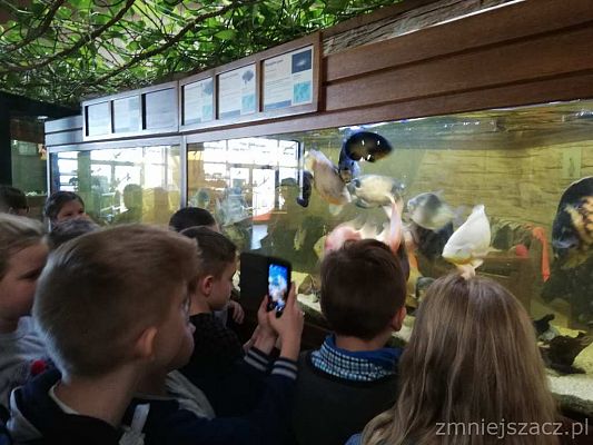 Grafika #12: Wycieczka do Parku Edukacyjnego - ZOO – Egzotyczne Kaszuby w Tuchlinie