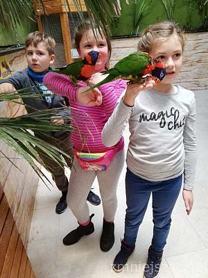 Grafika #16: Wycieczka do Parku Edukacyjnego - ZOO – Egzotyczne Kaszuby w Tuchlinie