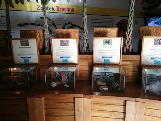 Grafika #17: Wycieczka do Parku Edukacyjnego - ZOO – Egzotyczne Kaszuby w Tuchlinie