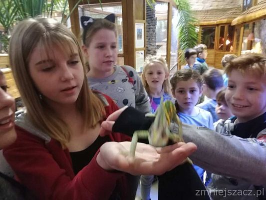 Grafika #2: Wycieczka do Parku Edukacyjnego - ZOO – Egzotyczne Kaszuby w Tuchlinie