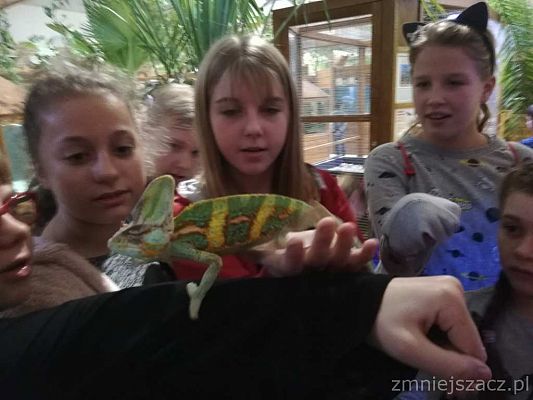 Grafika #3: Wycieczka do Parku Edukacyjnego - ZOO – Egzotyczne Kaszuby w Tuchlinie