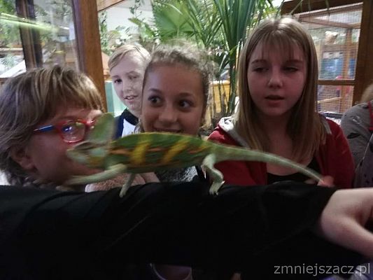 Grafika #4: Wycieczka do Parku Edukacyjnego - ZOO – Egzotyczne Kaszuby w Tuchlinie