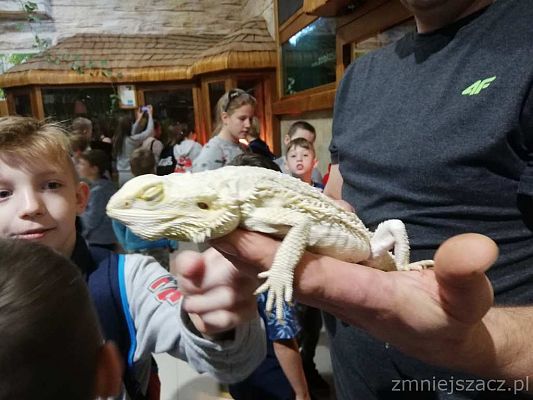 Grafika #6: Wycieczka do Parku Edukacyjnego - ZOO – Egzotyczne Kaszuby w Tuchlinie