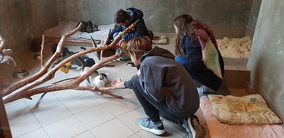 Grafika #7: WIZYTA W SCHRONISKU "BAJER" W MAŁOSZYCACH