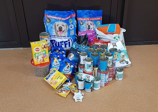 Grafika #0: WIZYTA W SCHRONISKU "BAJER" W MAŁOSZYCACH