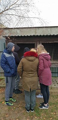 Grafika #5: WIZYTA W SCHRONISKU "BAJER" W MAŁOSZYCACH