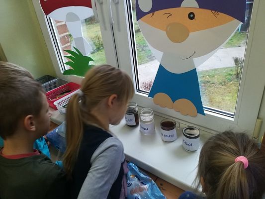 Grafika #0: Doświadczenia w przedszkolu