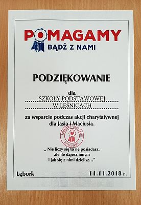 Grafika #1: POMOCNI Z LEŚNIC - CZYLI SZKOLNE KOŁO WOLONTARIATU