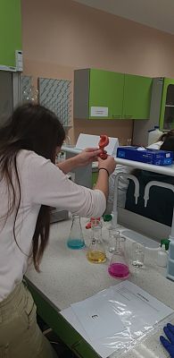 Grafika #8: EUROPEJSKI TYDZIEŃ UMIEJĘTNOŚCI ZAWODOWYCH W ZESPOLE SZKÓŁ GOSPODARKI ŻYWNOŚCIOWEJ I AGROBIZNESU W LĘBORKU