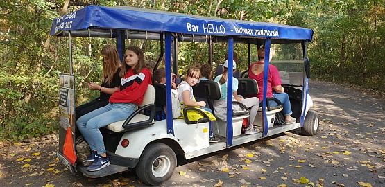 Grafika #23: Wycieczka do Helu