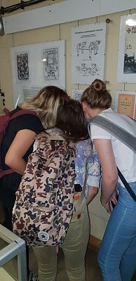 Grafika #10: Wycieczka do Helu