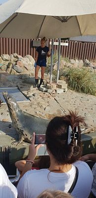 Grafika #21: Wycieczka do Helu