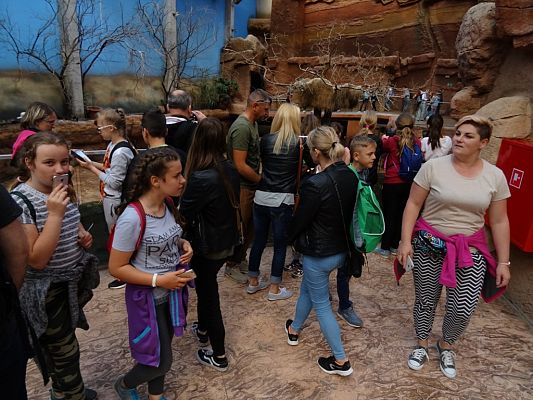 Grafika #0: WYCIECZKA DO WROCŁAWIA