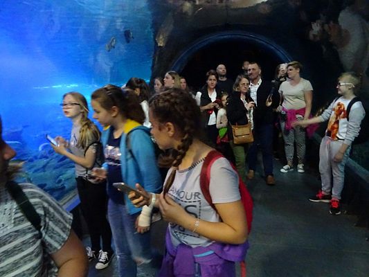 Grafika #2: WYCIECZKA DO WROCŁAWIA