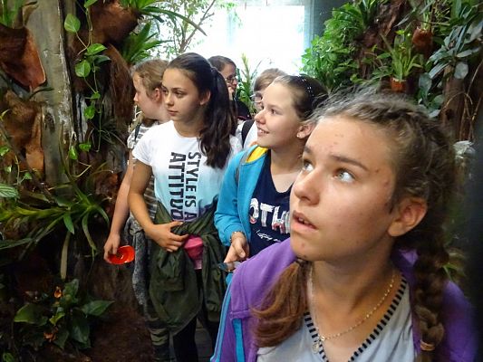 Grafika #3: WYCIECZKA DO WROCŁAWIA