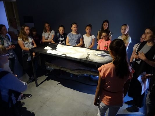 Grafika #9: WYCIECZKA DO WROCŁAWIA