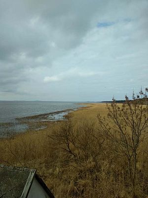 Grafika #12: Wycieczka do Słowińskiego Parku Narodowego