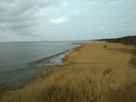 Grafika #1: Wycieczka do Słowińskiego Parku Narodowego