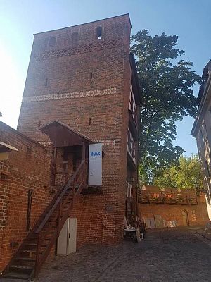 Grafika #28: Wycieczka do Torunia