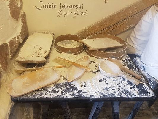 Grafika #20: Wycieczka do Torunia