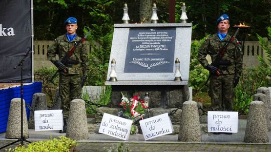 Grafika #2: Uroczystości na cmentarzu w Krępie Kaszubskiej