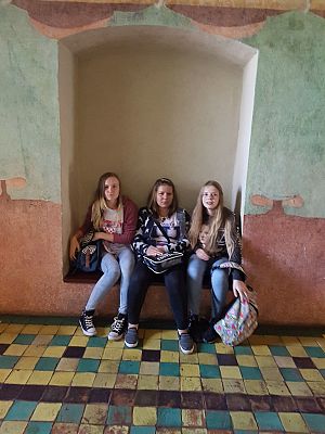 Grafika #7: Wycieczka do Muzeum Zamkowego w Malborku