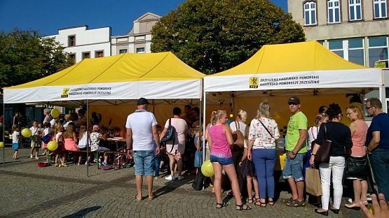 Grafika #2: Bajkowa Kościerzyna