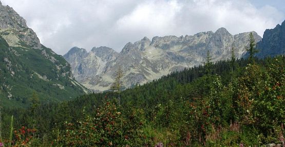 Grafika #13: Wycieczka szkolna-"Tatry Słowackie i Magiczny Kraków"