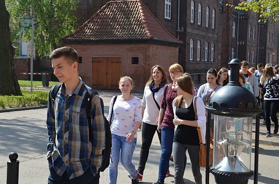 Grafika #16: Europejski Tydzień Młodzieży