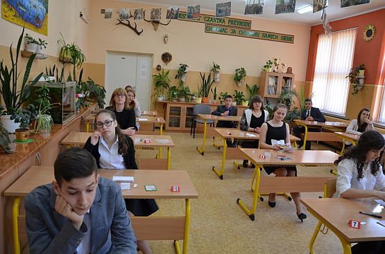 Grafika #1: EGZAMINY GIMNAZJALNE