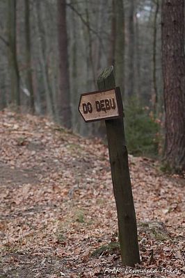 Grafika #7: PIERWSZY DZIEŃ WIOSNY ( KLASY I-III I IV-VI) PRZYRODNICZE POWITANIE WIOSNY :)