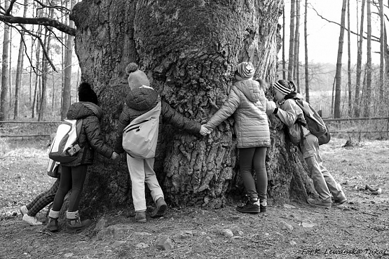 Grafika #8: PIERWSZY DZIEŃ WIOSNY ( KLASY I-III I IV-VI) PRZYRODNICZE POWITANIE WIOSNY :)