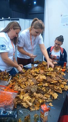 Grafika #5: 23-24 października 2014r.- Pomorskie Targi Młodzieżowej Aktywności