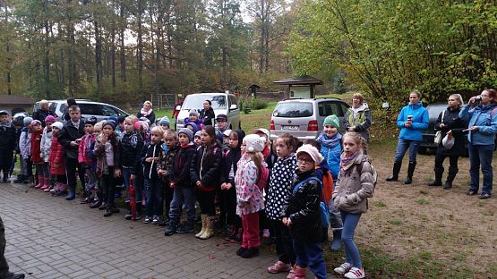 Grafika #0: Ożywić pola 2014- rok trznadla