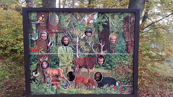 Grafika #6: Ożywić pola 2014- rok trznadla